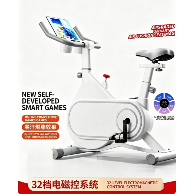Stille Magnetische Weerstandss - Exercise Bike Magnetic Resistance recensie en prijs